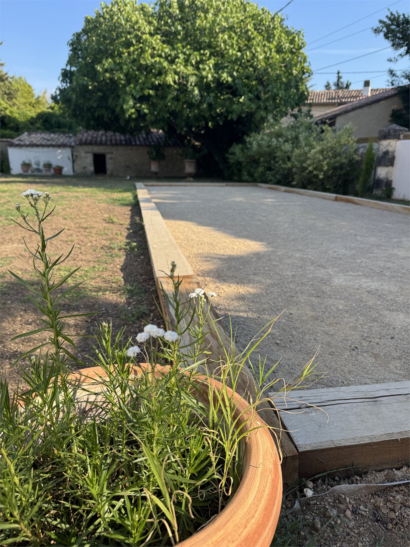 Le terrain de pétanque dans le jardin