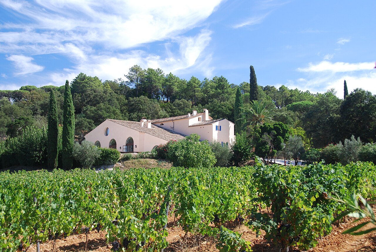 Vignes de Provence